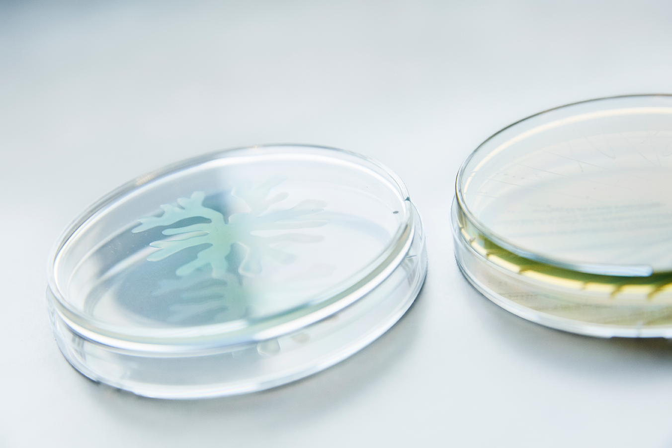 Dekorative prøveglas