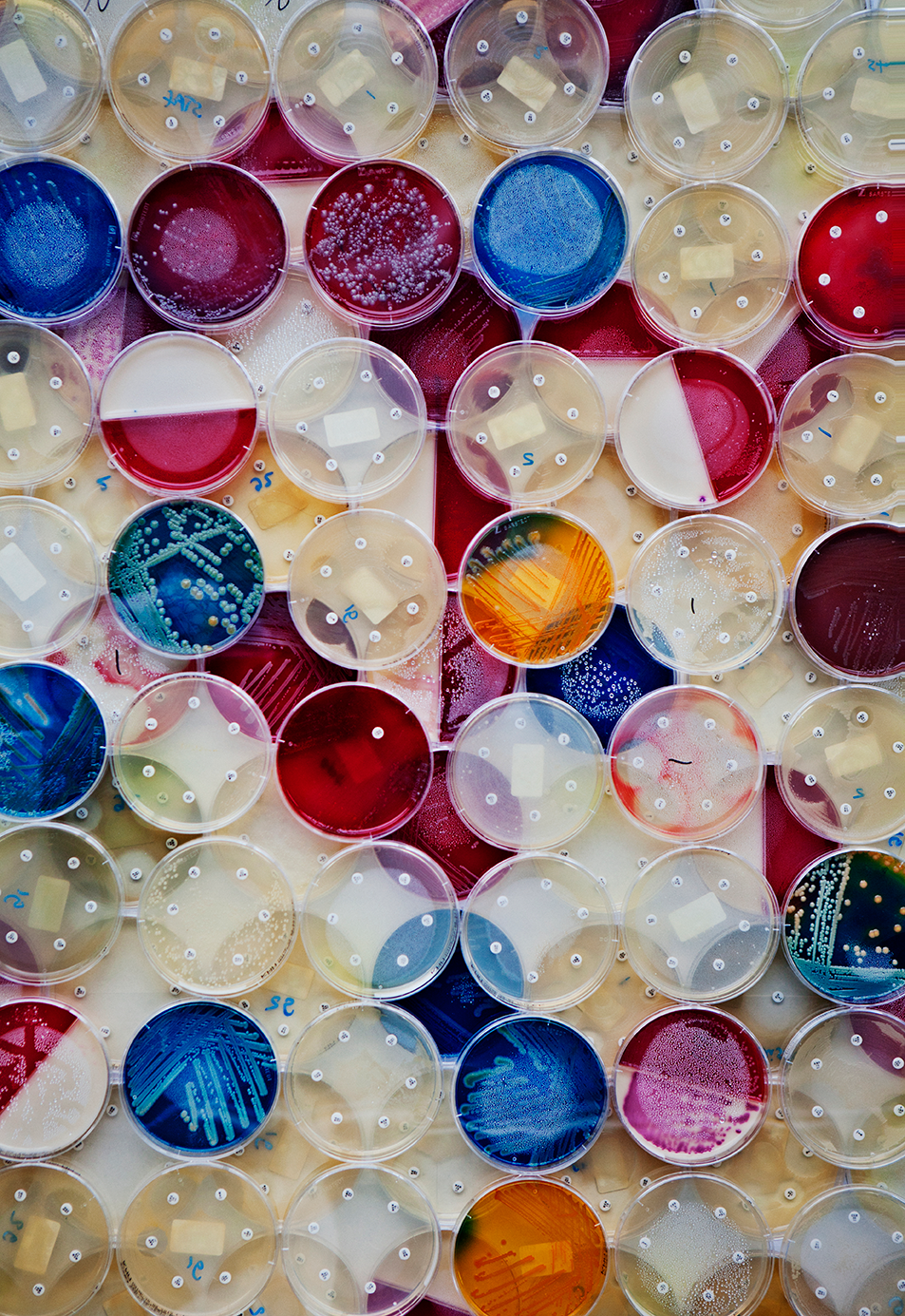 Dekorative prøveglas